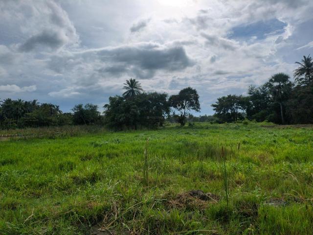 Residential Plot in Joka for resale Kolkata. The reference number is 20614265