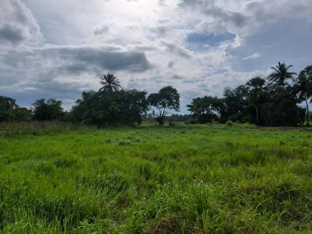 Residential Plot in Joka for resale Kolkata. The reference number is 20614286