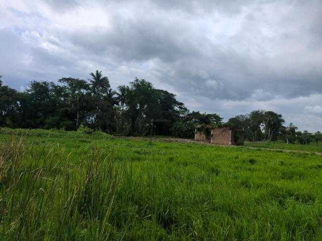 Residential Plot in Joka for resale Kolkata. The reference number is 20614569