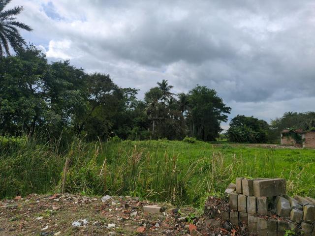 Residential Plot in Joka for resale Kolkata. The reference number is 20614630