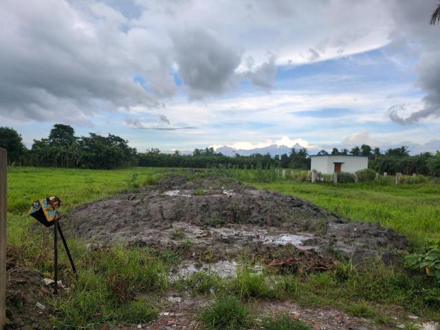 Residential Plot in Joka for resale Kolkata. The reference number is 20612378