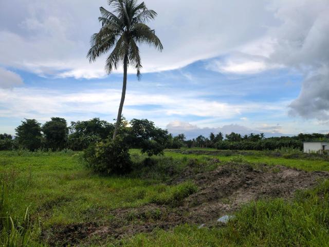 Residential Plot in Joka for resale Kolkata. The reference number is 20612532