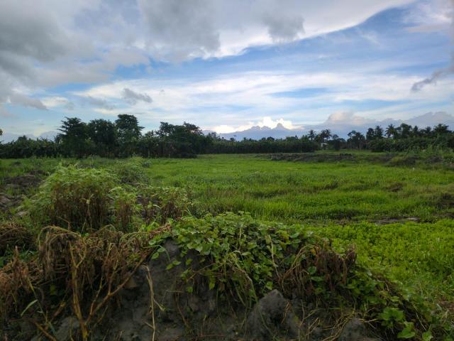 Residential Plot in Joka for resale Kolkata. The reference number is 20612760