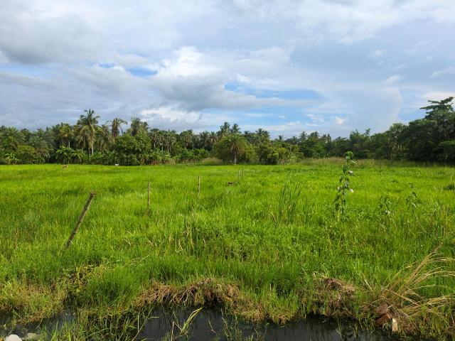Residential Plot in Joka for resale Kolkata. The reference number is 20613187