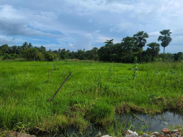 Residential Plot in Joka for resale Kolkata. The reference number is 20613244