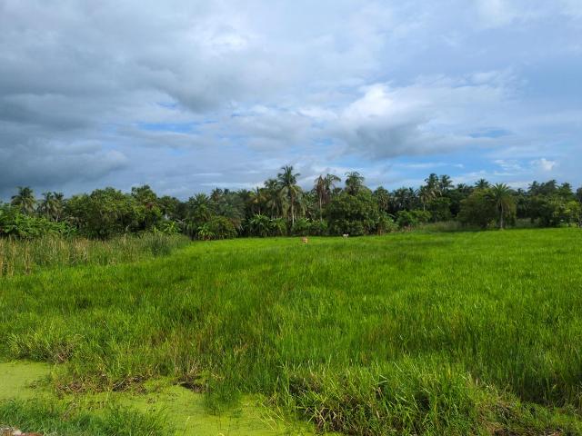 Residential Plot in Joka for resale Kolkata. The reference number is 20613306