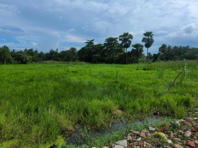 Residential Plot in Joka for resale Kolkata. The reference number is 20613317
