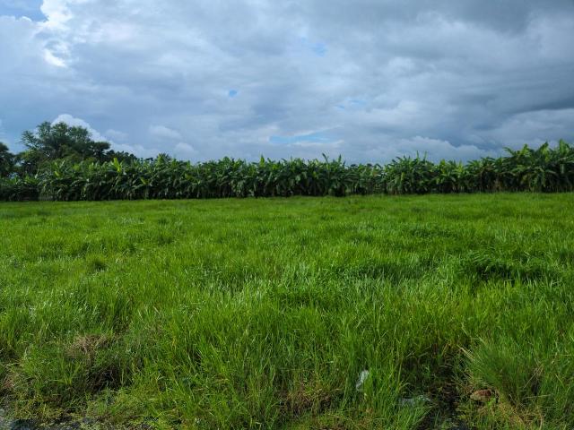 Residential Plot in Joka for resale Kolkata. The reference number is 20613387
