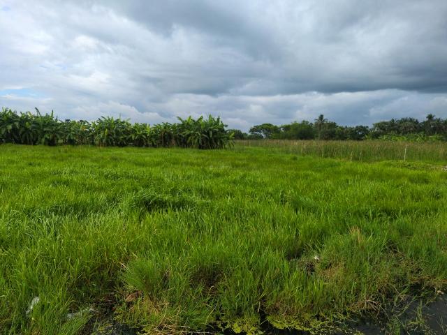 Residential Plot in Joka for resale Kolkata. The reference number is 20613527