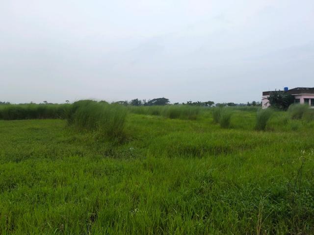Residential Plot in Joka for resale Kolkata. The reference number is 20640963