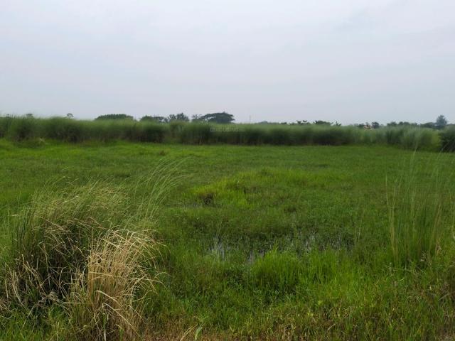Residential Plot in Joka for resale Kolkata. The reference number is 20641104