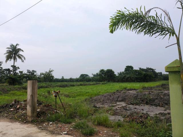 Residential Plot in Joka for resale Kolkata. The reference number is 20641334
