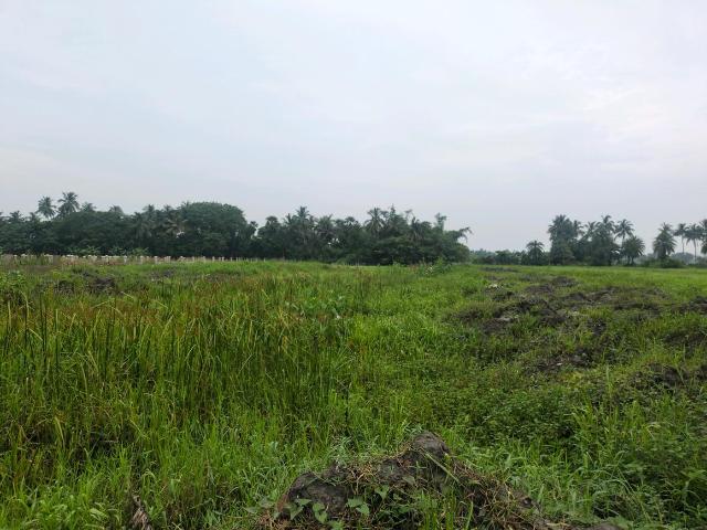 Residential Plot in Joka for resale Kolkata. The reference number is 20641382