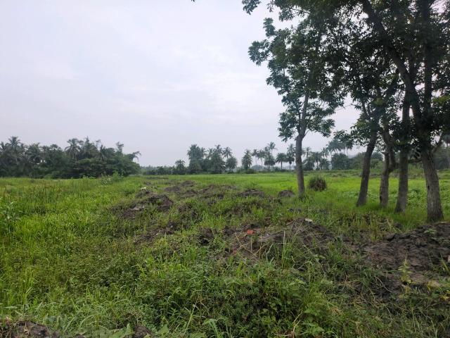 Residential Plot in Joka for resale Kolkata. The reference number is 20641437