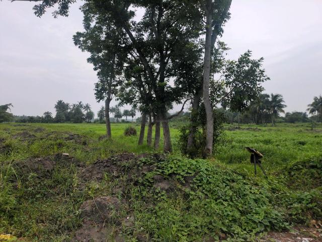 Residential Plot in Joka for resale Kolkata. The reference number is 20641485