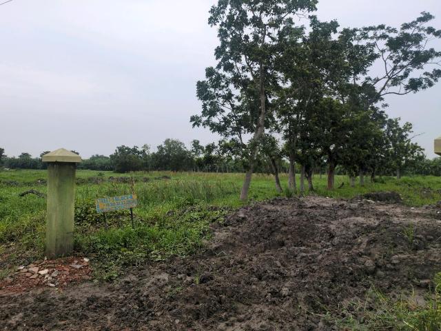 Residential Plot in Joka for resale Kolkata. The reference number is 20641528