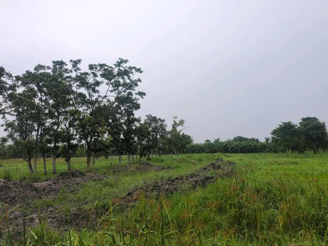 Residential Plot in Joka for resale Kolkata. The reference number is 20641673