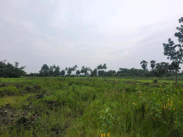 Residential Plot in Joka for resale Kolkata. The reference number is 20641783