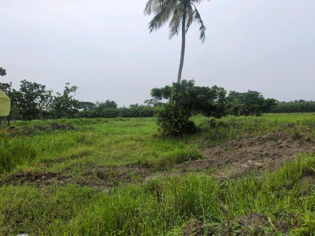 Residential Plot in Joka for resale Kolkata. The reference number is 20641805