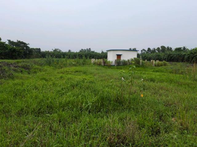 Residential Plot in Joka for resale Kolkata. The reference number is 20642482