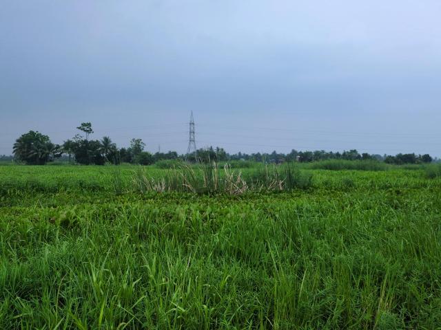 Residential Plot in Joka for resale Kolkata. The reference number is 21061353