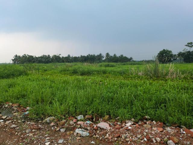 Residential Plot in Joka for resale Kolkata. The reference number is 21061367
