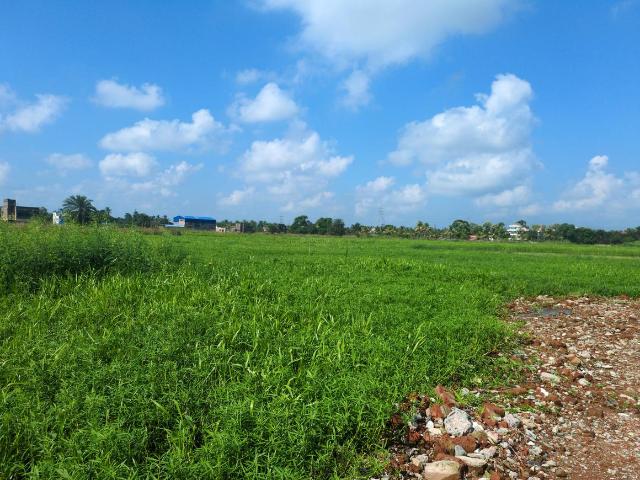 Residential Plot in Joka for resale Kolkata. The reference number is 21118771