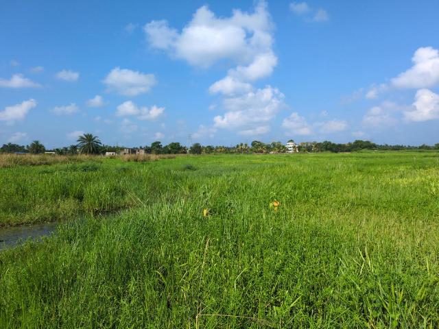Residential Plot in Joka for resale Kolkata. The reference number is 21118784