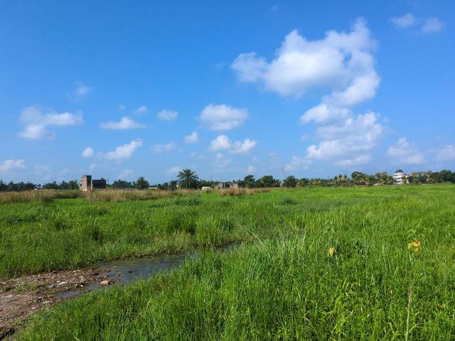 Residential Plot in Joka for resale Kolkata. The reference number is 21118785