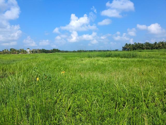 Residential Plot in Joka for resale Kolkata. The reference number is 21118787
