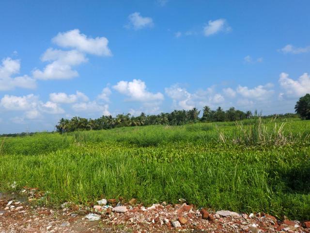 Residential Plot in Joka for resale Kolkata. The reference number is 21118780