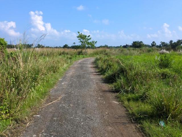 Residential Plot in Joka for resale Kolkata. The reference number is 21118782