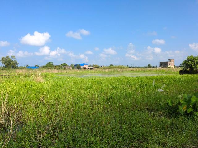 Residential Plot in Joka for resale Kolkata. The reference number is 21118793