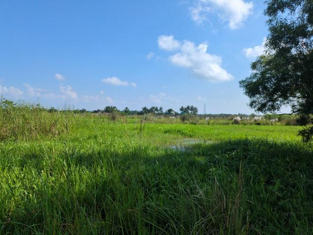Residential Plot in Joka for resale Kolkata. The reference number is 21118807