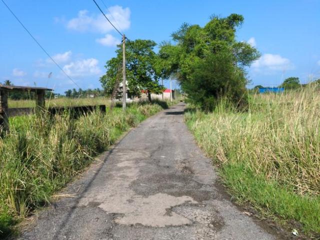 Residential Plot in Joka for resale Kolkata. The reference number is 21118810
