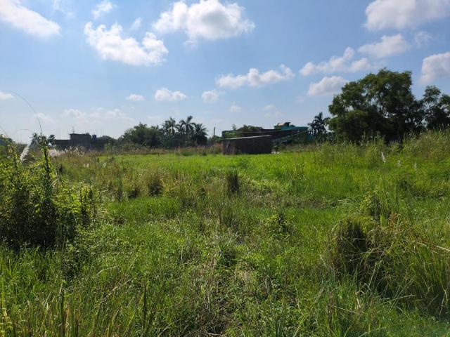 Residential Plot in Joka for resale Kolkata. The reference number is 21118825
