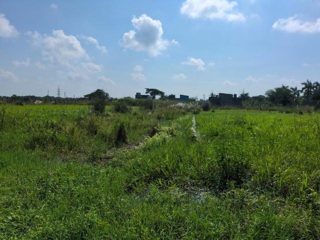 Residential Plot in Joka for resale Kolkata. The reference number is 21118820