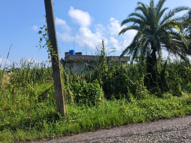 Residential Plot in Joka for resale Kolkata. The reference number is 21118830