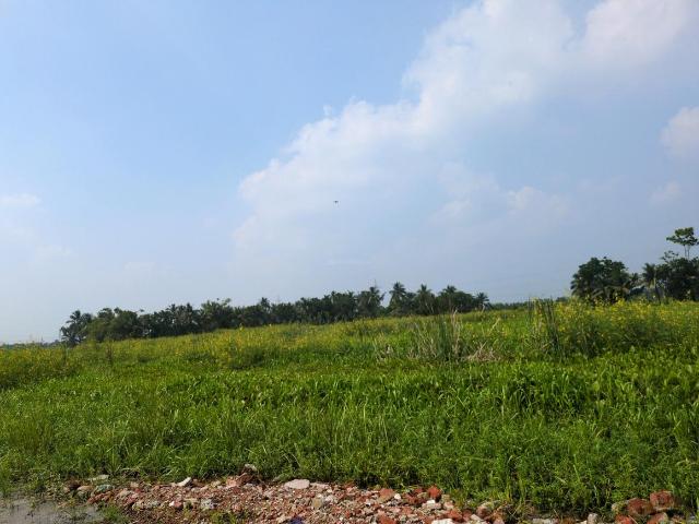 Residential Plot in Joka for resale Kolkata. The reference number is 21201199