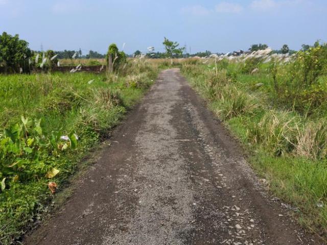 Residential Plot in Joka for resale Kolkata. The reference number is 21201230