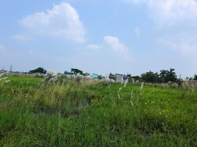 Residential Plot in Joka for resale Kolkata. The reference number is 21201261