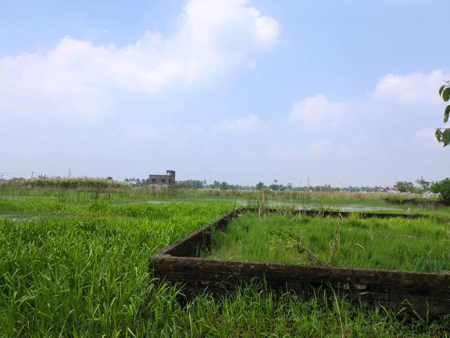 Residential Plot in Joka for resale Kolkata. The reference number is 21202035
