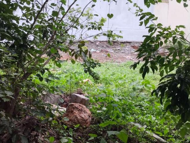 Residential Plot in JP Nagar for resale Bengaluru. The reference number is 14443421