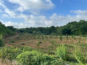 Residential Plot in JP Nagar for resale Bengaluru. The reference number is 17570085