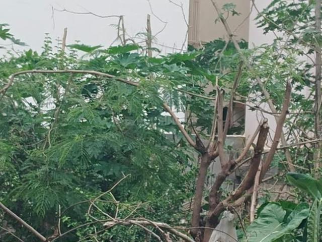 Residential Plot in JP Nagar for resale Bengaluru. The reference number is 18669148