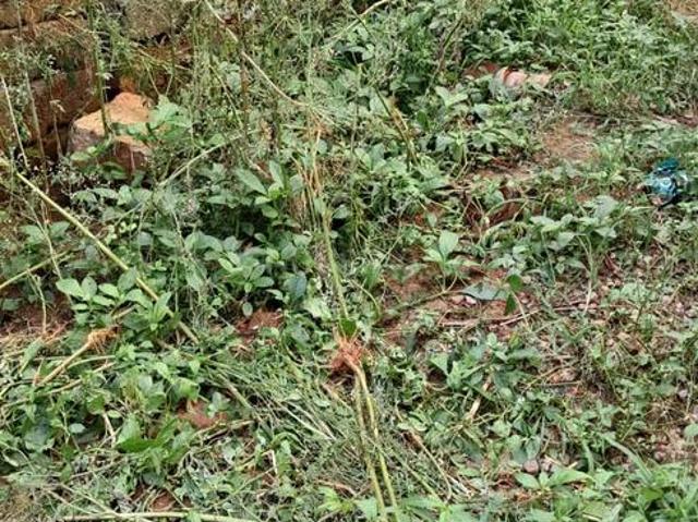Residential Plot in JP Nagar for resale Bengaluru. The reference number is 13981149