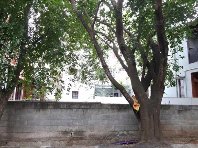 Residential Plot in JP Nagar for resale Bengaluru. The reference number is 20287869