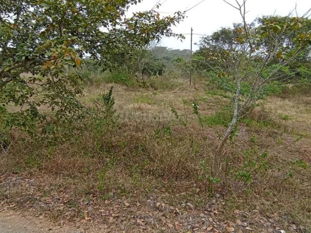 Residential Plot in JP Nagar for resale Bengaluru. The reference number is 21250240