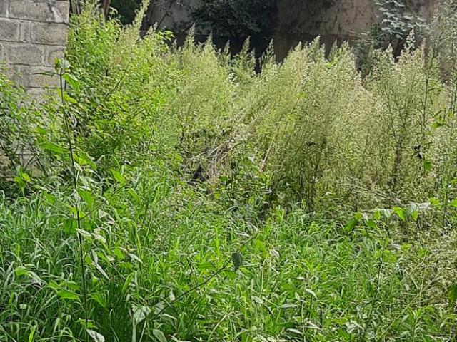 Residential Plot in JP Nagar for resale Bengaluru. The reference number is 7908072