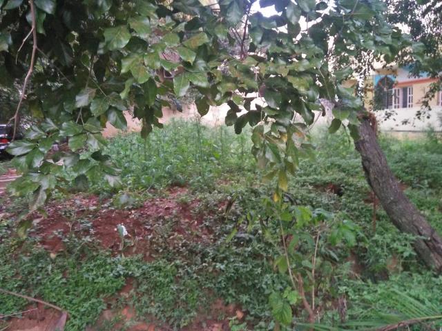 Residential Plot in JP Nagar for resale Bengaluru. The reference number is 9673968